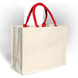 Laminated Canvas Bag